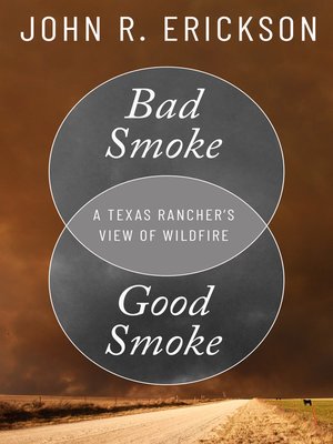 cover image of Bad Smoke, Good Smoke